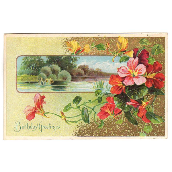Vintage Postcards – Still Blooming co