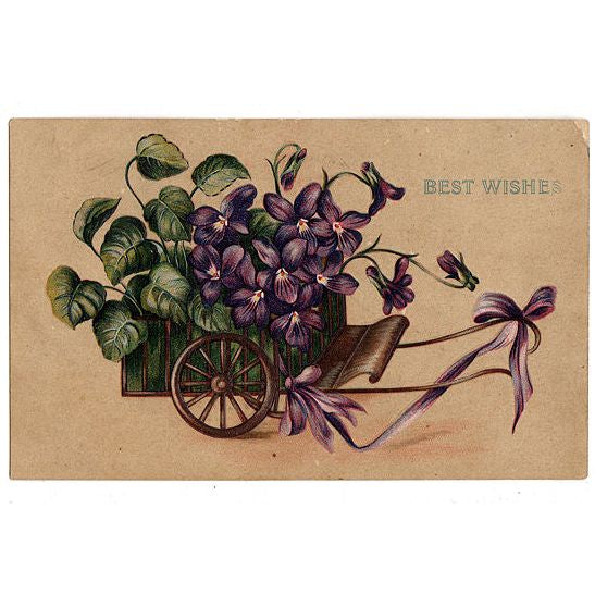 https://www.avidvintage.com/cdn/shop/products/Purple_Pansies_in_Cart_Antique_Greetings_Postcard_1.jpg?v=1572605009