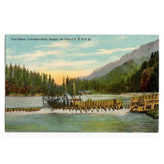 Vintage Columbia River Oregon Postcard Fish Wheel OR and N